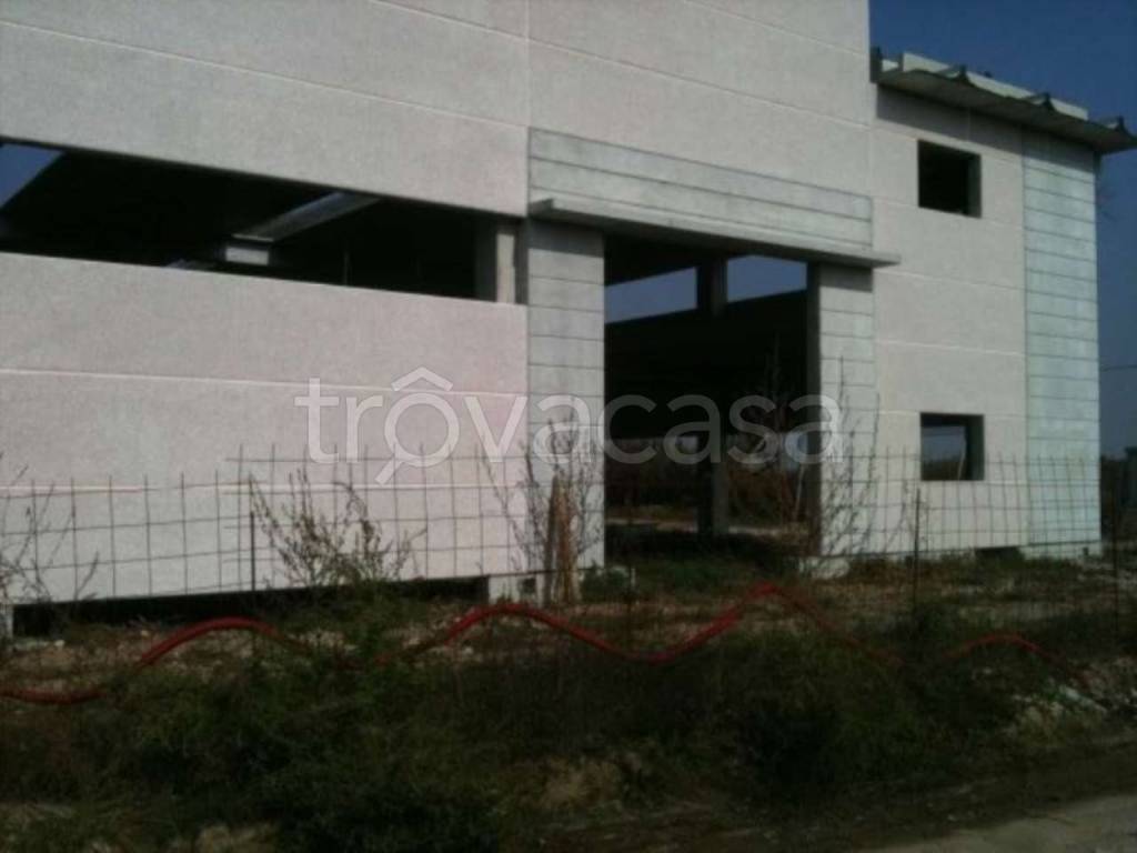 immagine annuncio 2 di 6