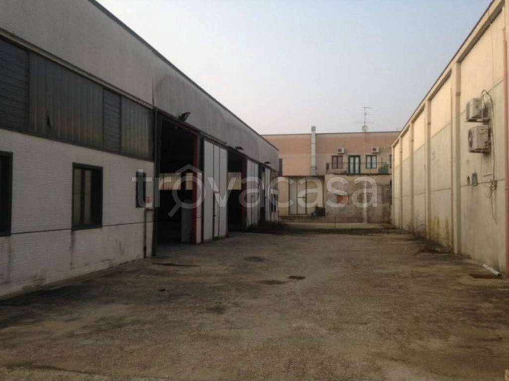 immagine annuncio 6 di 10