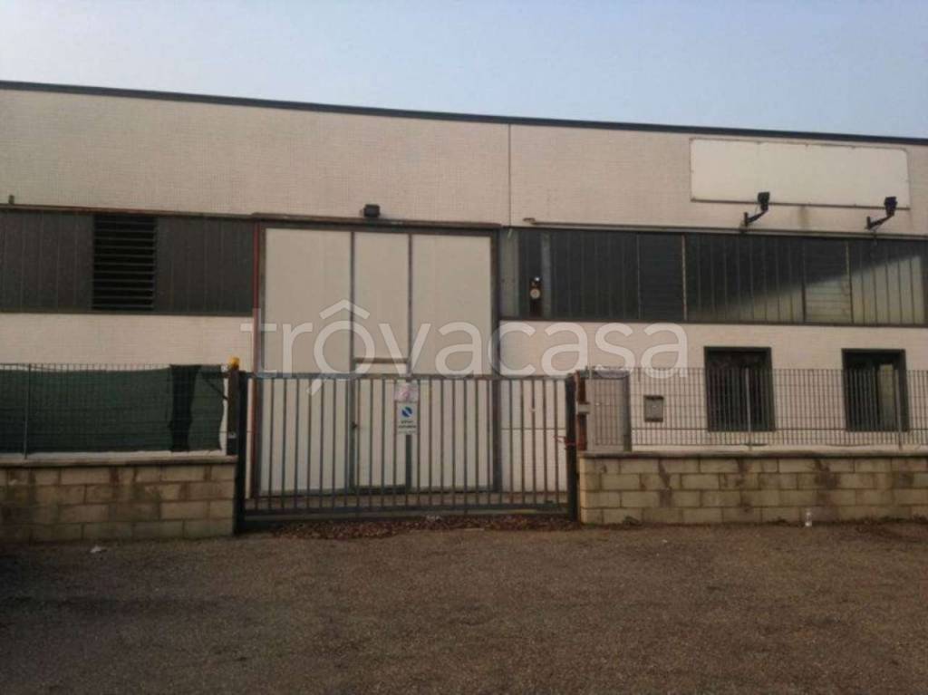 immagine annuncio 2 di 10