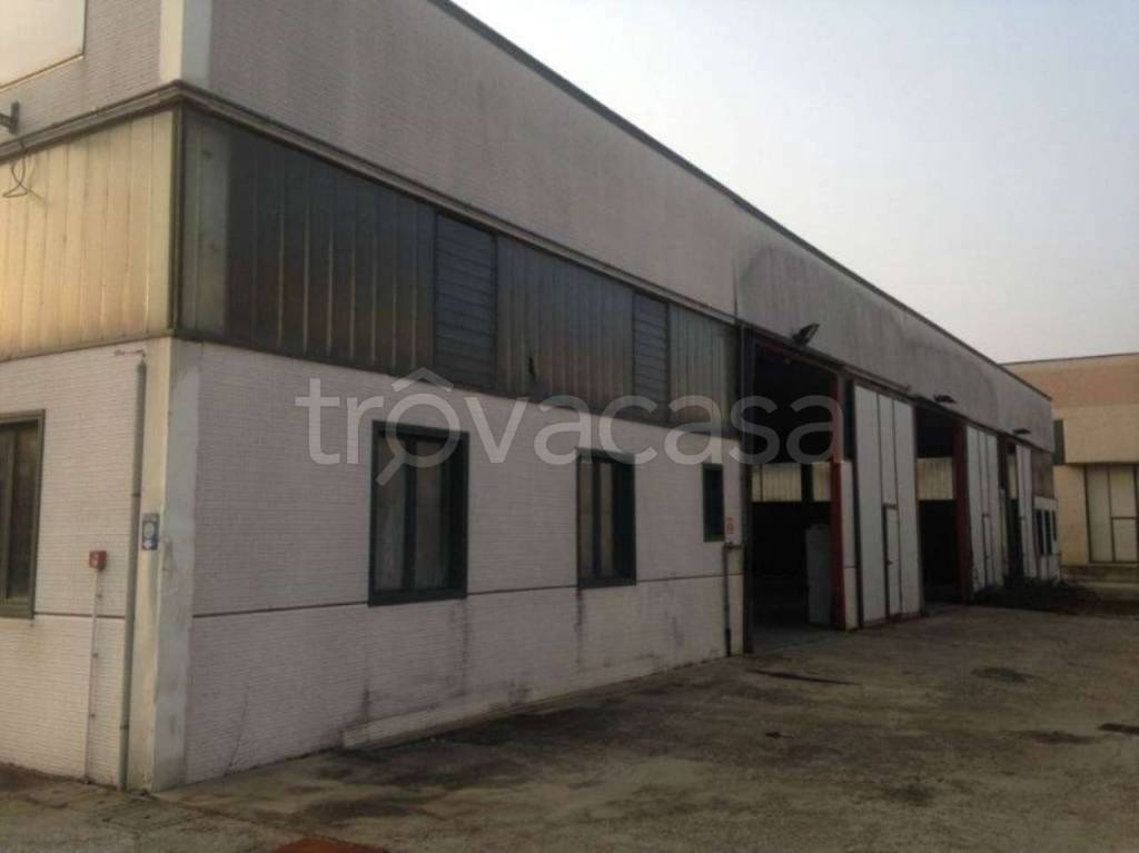 immagine annuncio 8 di 10