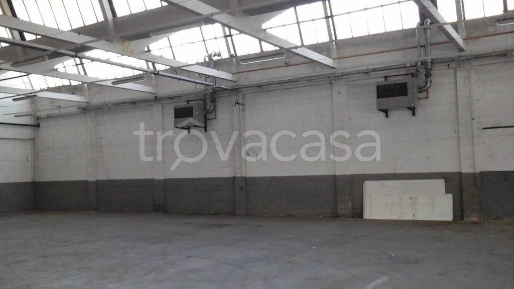 immagine annuncio 7 di 8