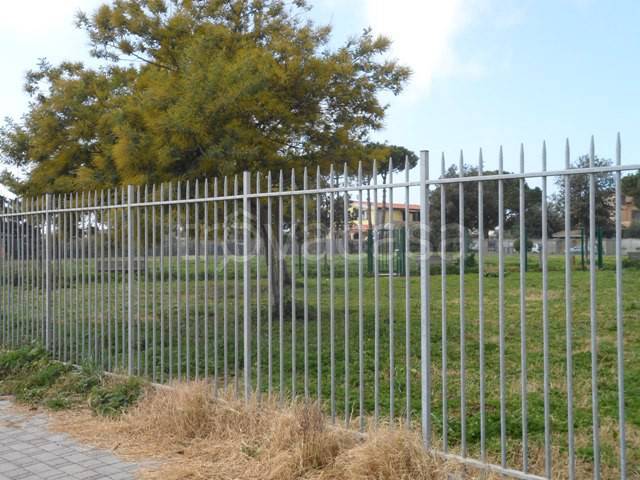 immagine annuncio 5 di 11