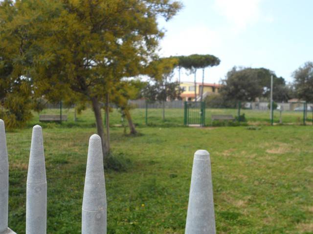 immagine annuncio 7 di 11