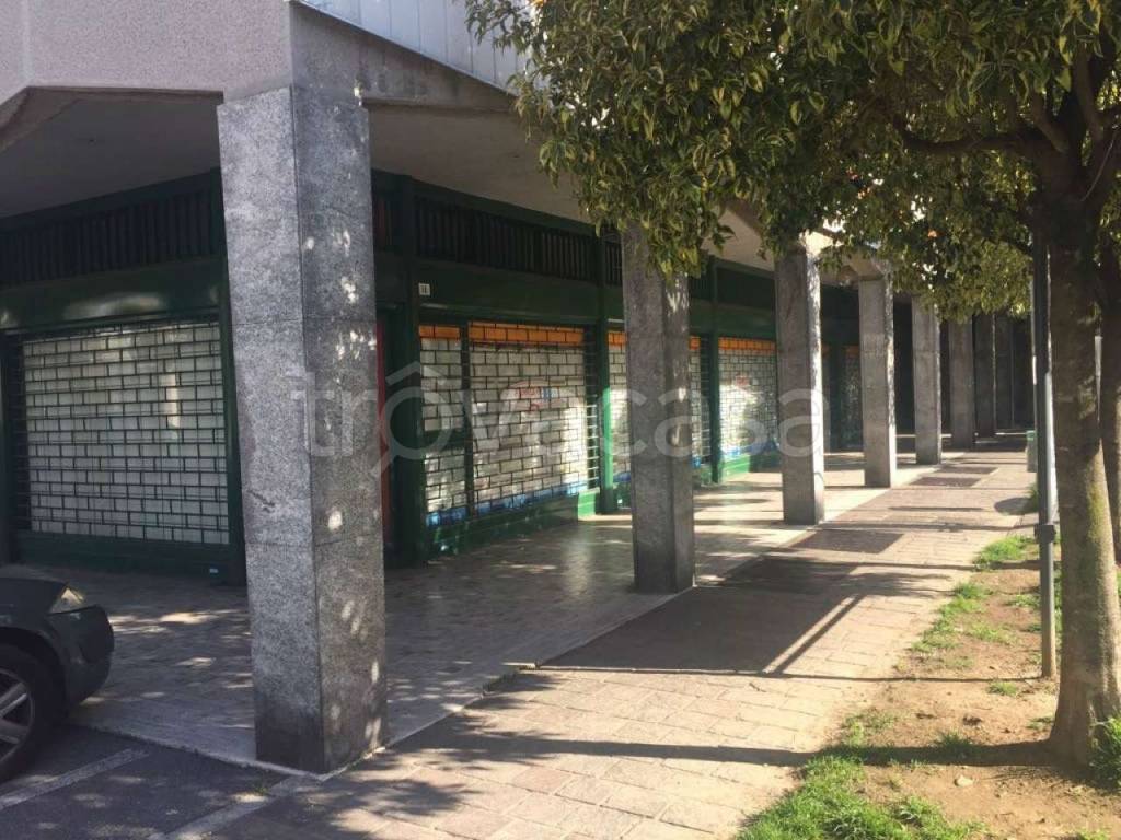 immagine annuncio 1 di 13