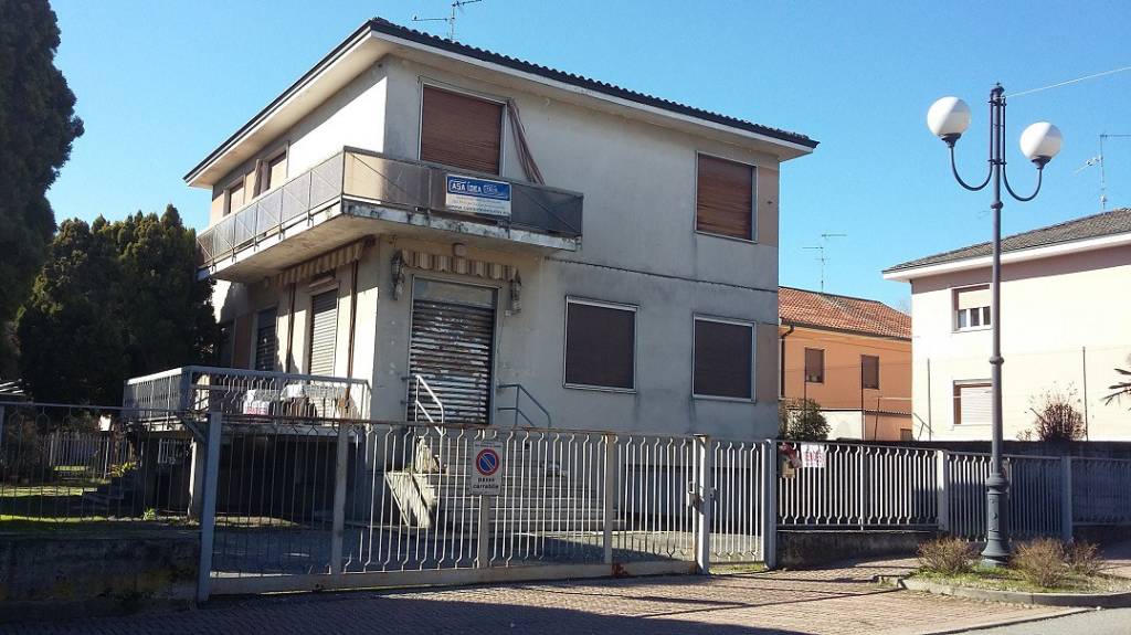 immagine annuncio 12 di 14