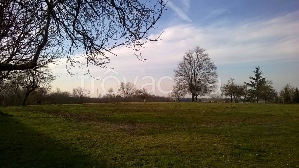 immagine annuncio 1 di 12