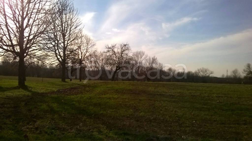 immagine annuncio 2 di 12