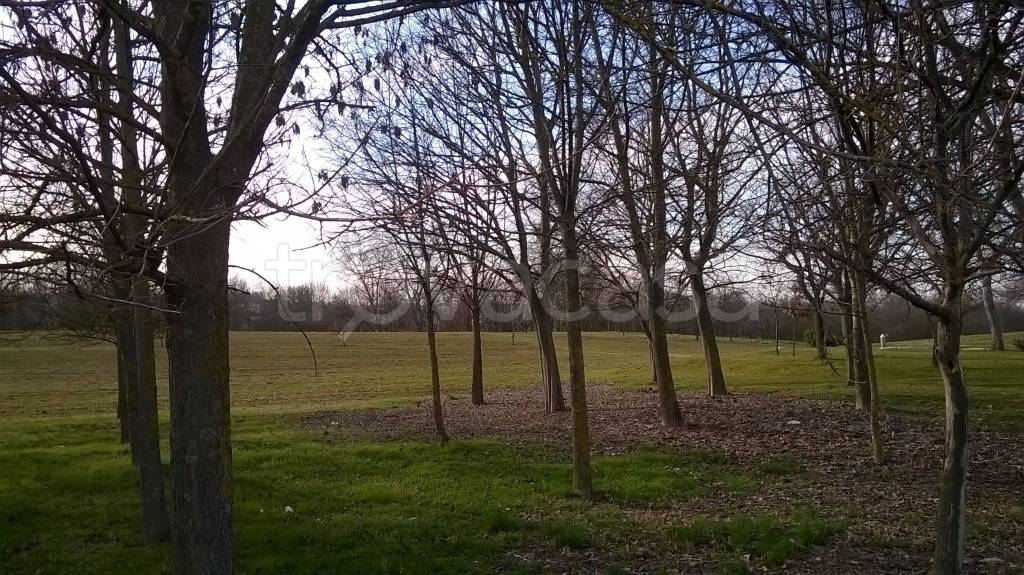 immagine annuncio 3 di 12