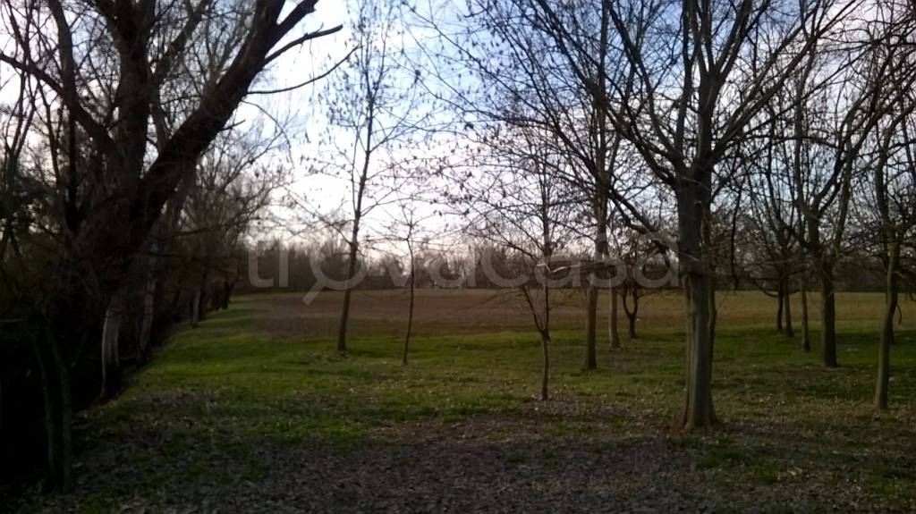 immagine annuncio 4 di 12