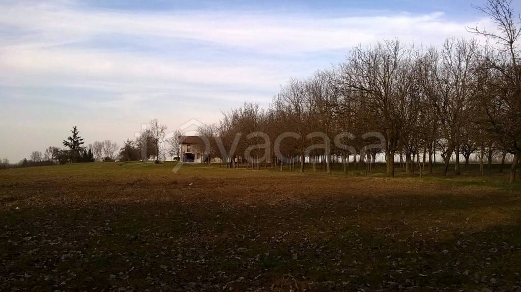 immagine annuncio 8 di 12