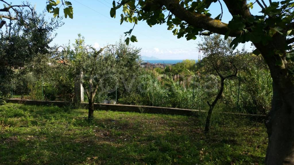 Terreno Agricolo in vendita a Formia via Pientime, snc