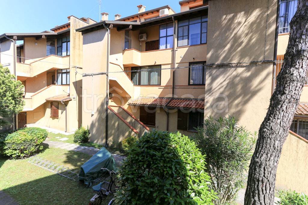 immagine annuncio 9 di 11