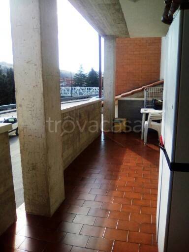 immagine annuncio 7 di 13