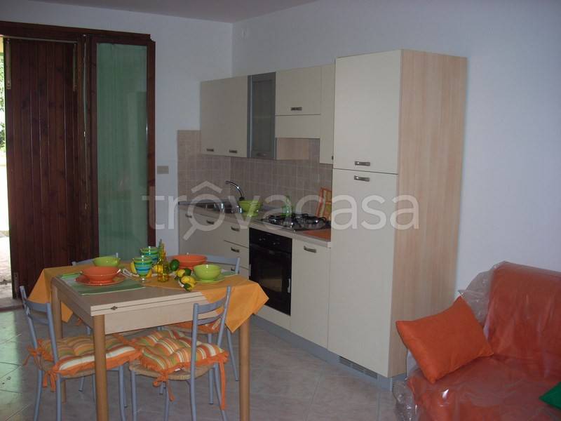 immagine annuncio 9 di 11