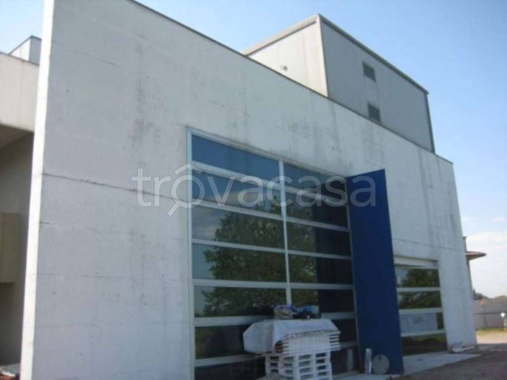 Capannone Industriale in vendita a Cittadella via Tofana di Rozes 46