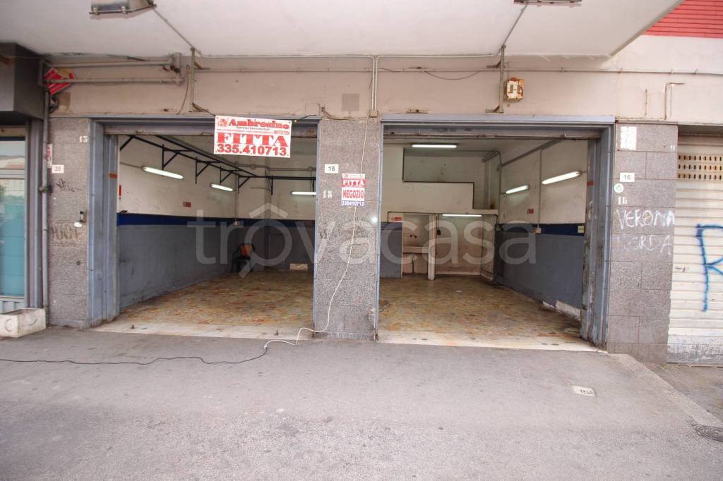 immagine annuncio 1 di 14