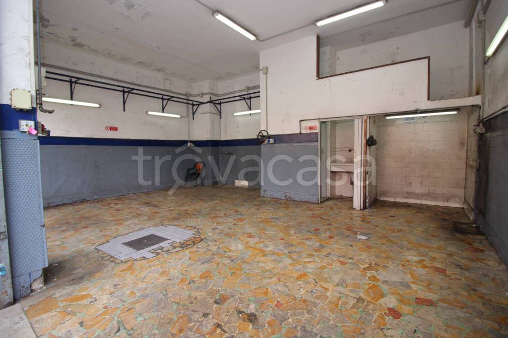 immagine annuncio 3 di 14