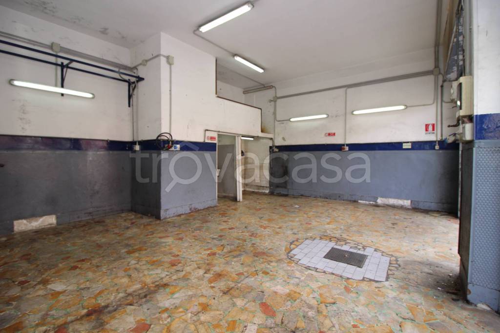 immagine annuncio 9 di 14