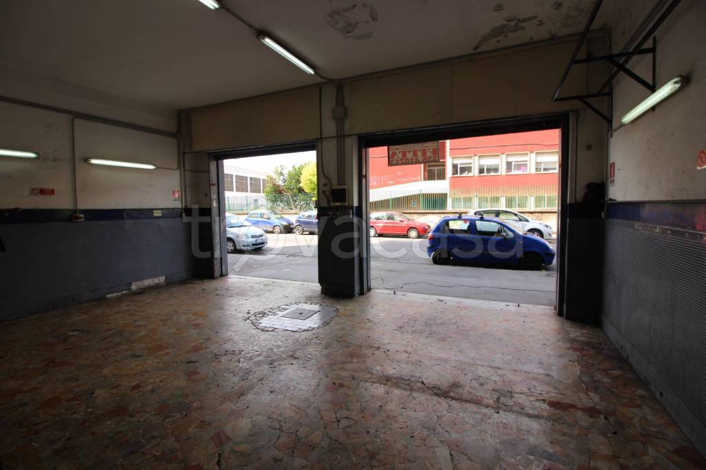 immagine annuncio 6 di 14