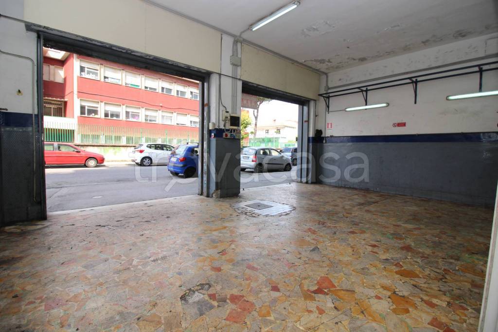 immagine annuncio 12 di 14