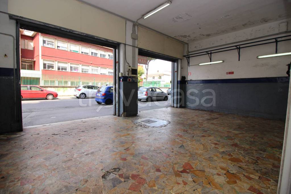 immagine annuncio 8 di 14