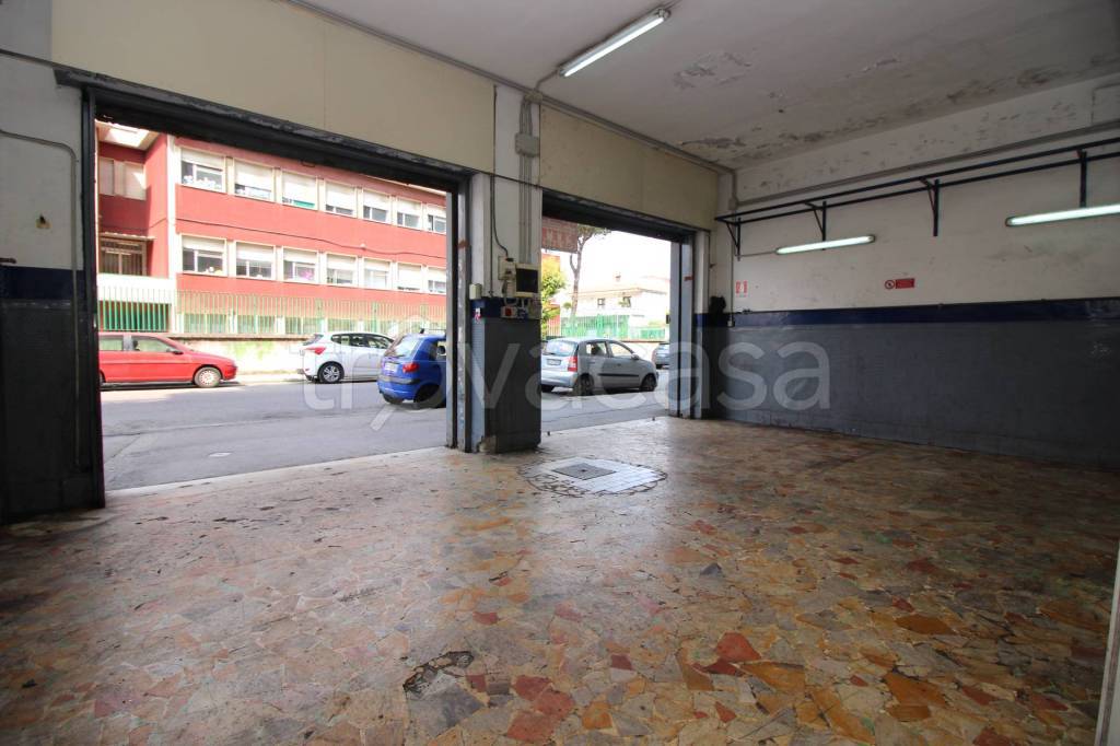 immagine annuncio 4 di 14