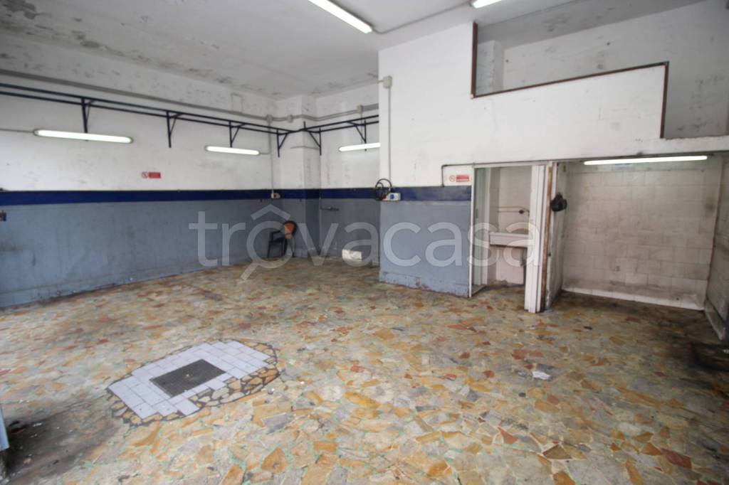 immagine annuncio 11 di 14