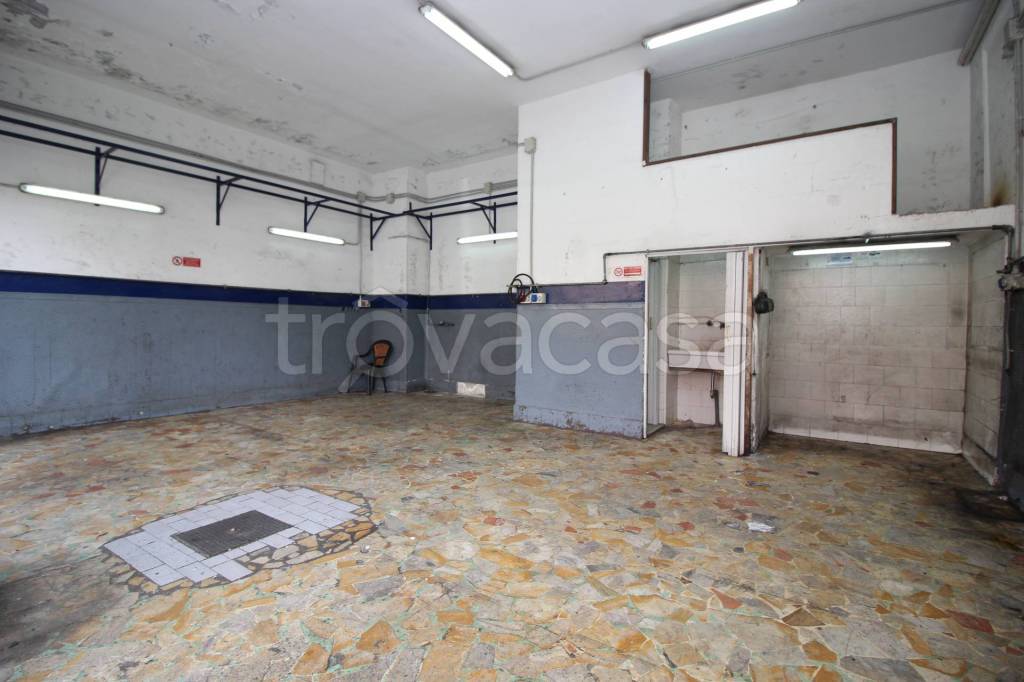 immagine annuncio 7 di 14