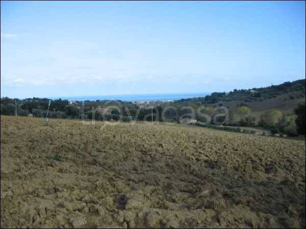 Terreno Agricolo in vendita a Civitanova Marche
