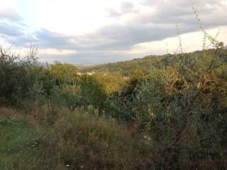 Terreno agricolo in vendita a montevarchi via mincio