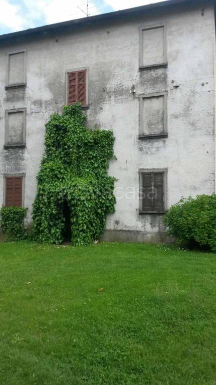 immagine annuncio 7 di 14