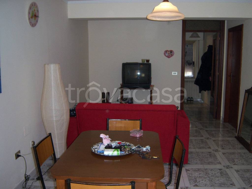 immagine annuncio 9 di 14