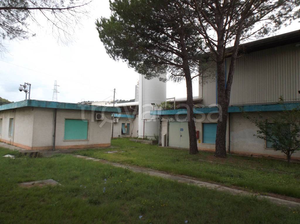 Capannone Industriale in vendita a Castellina Marittima strada Provinciale Poggioberna, 78