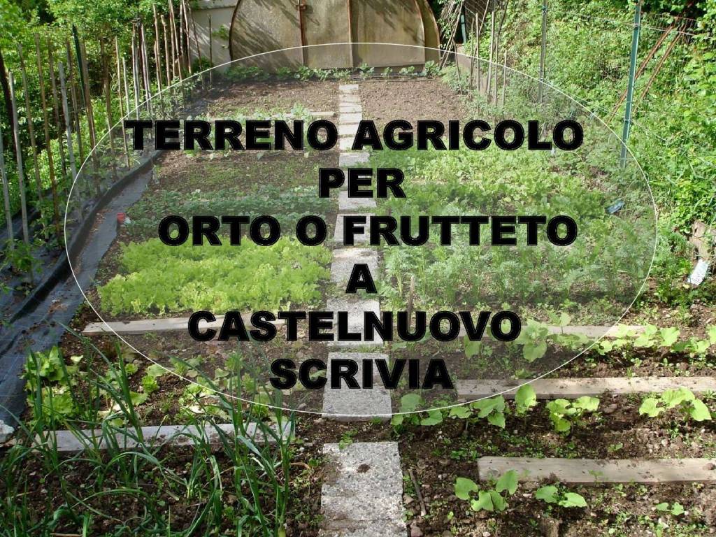 Terreno Agricolo in vendita a Castelnuovo Scrivia strada Comunale per Viguzzolo, 2