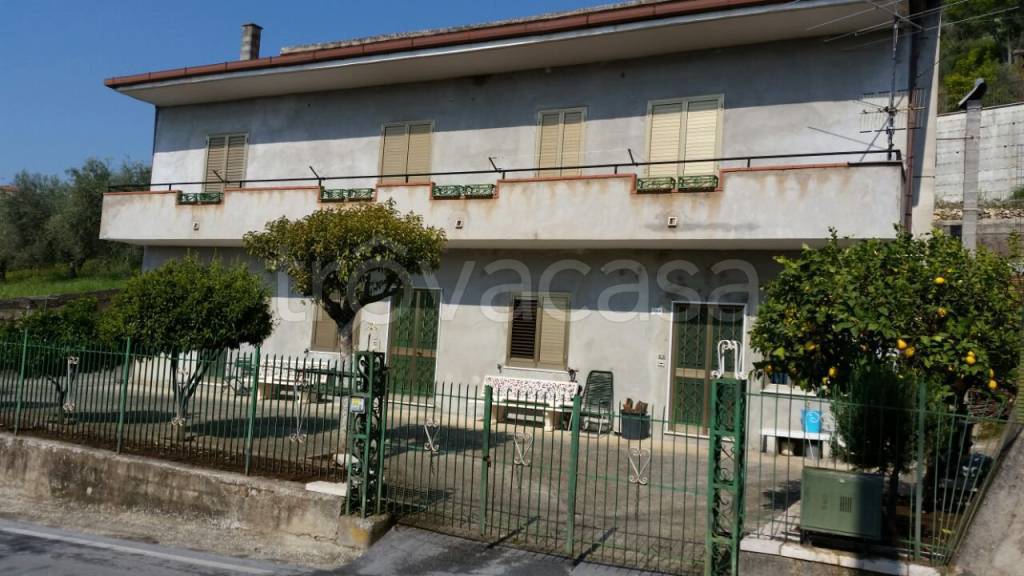 immagine annuncio 1 di 2