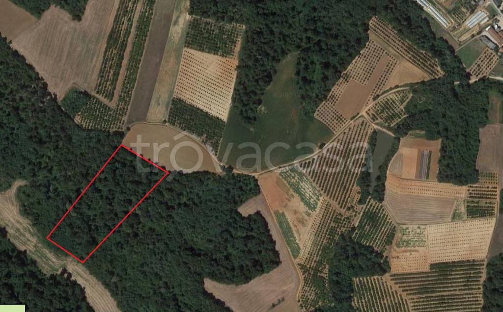 Terreno Agricolo in vendita a Baldissero d'Alba strada Provinciale 119, 101