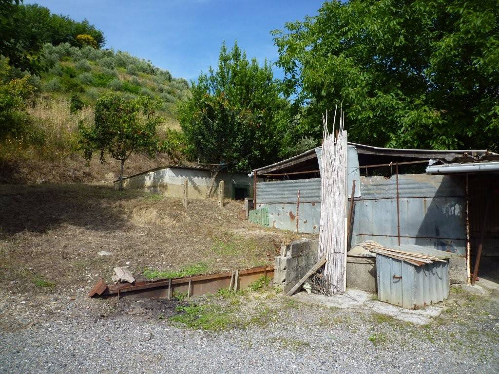 immagine annuncio 9 di 11