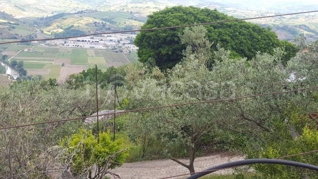 Terreno Agricolo in vendita a Paupisi via Italia