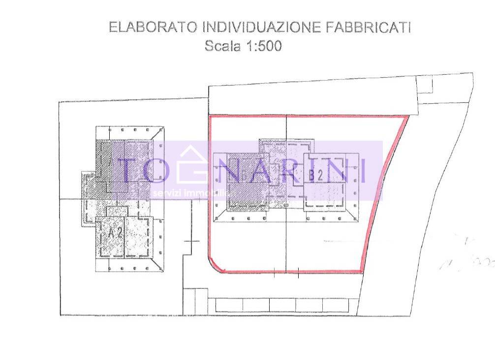 immagine annuncio 5 di 6