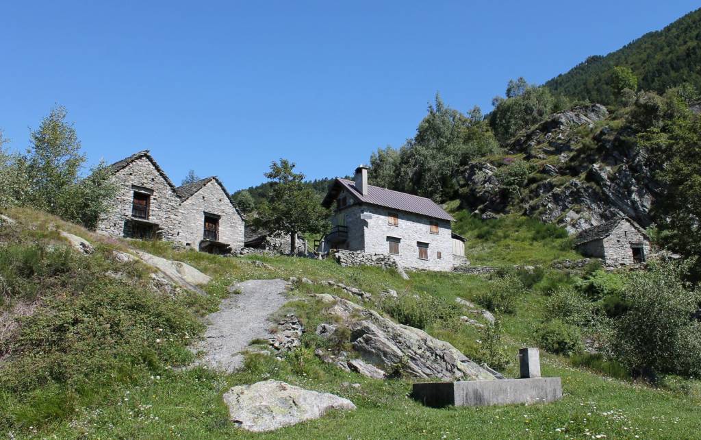 immagine annuncio 1 di 14