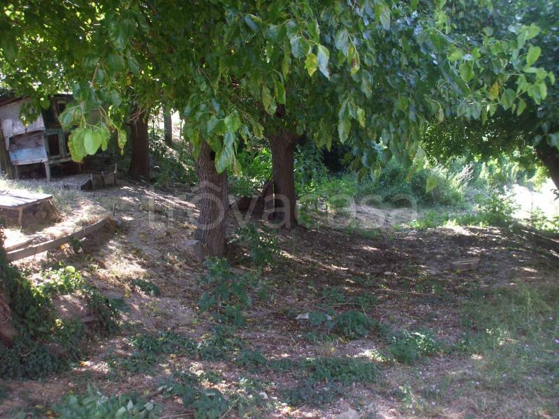 immagine annuncio 6 di 13