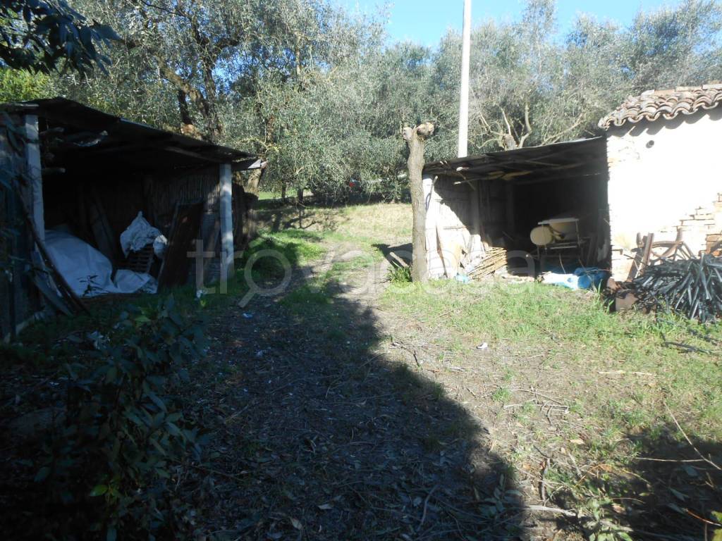 immagine annuncio 2 di 11