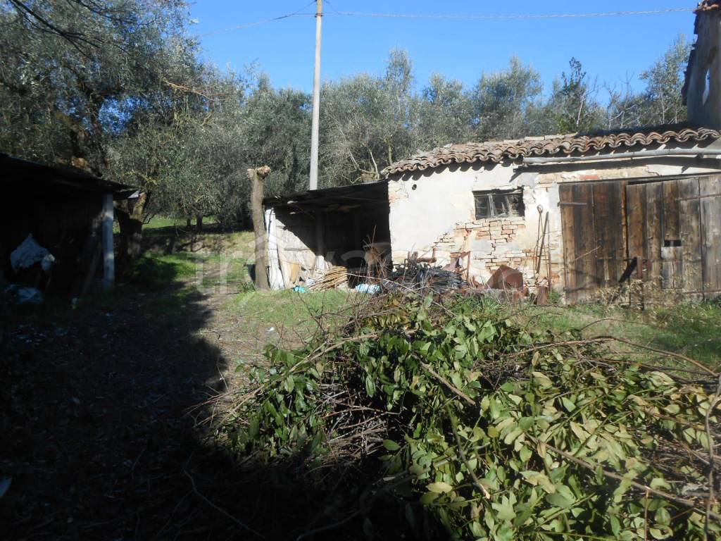 immagine annuncio 5 di 11
