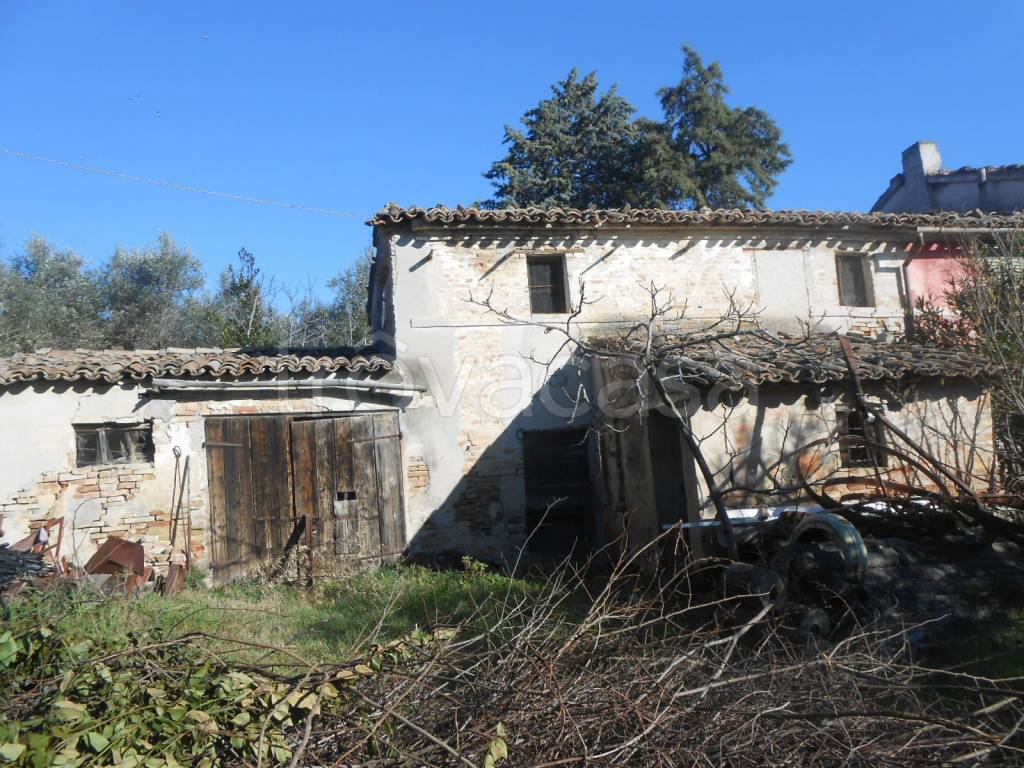 immagine annuncio 4 di 11