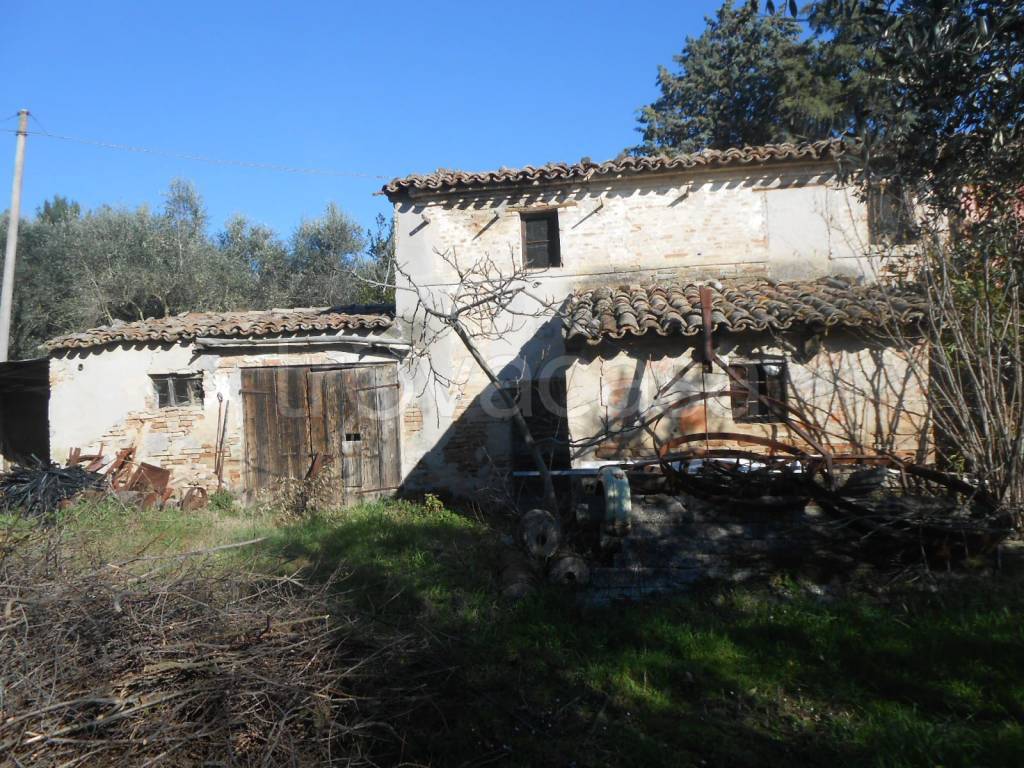 immagine annuncio 1 di 11