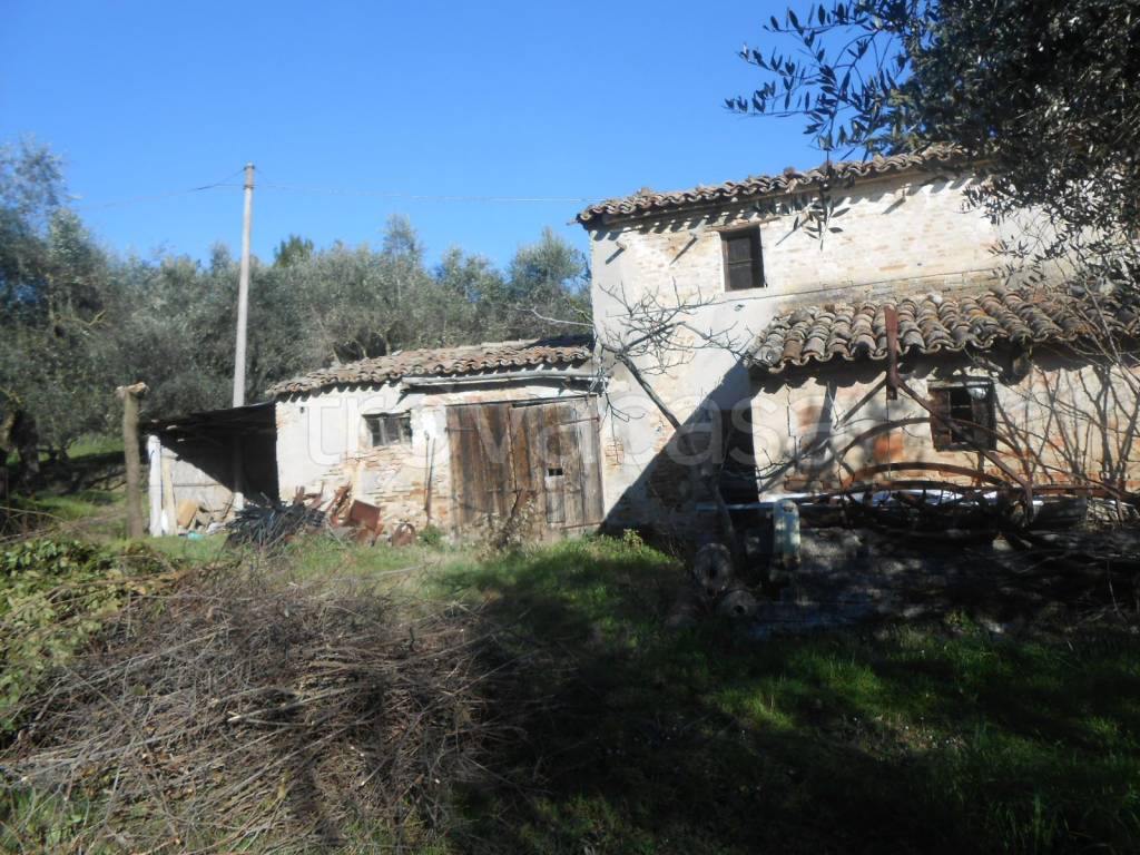 immagine annuncio 6 di 11