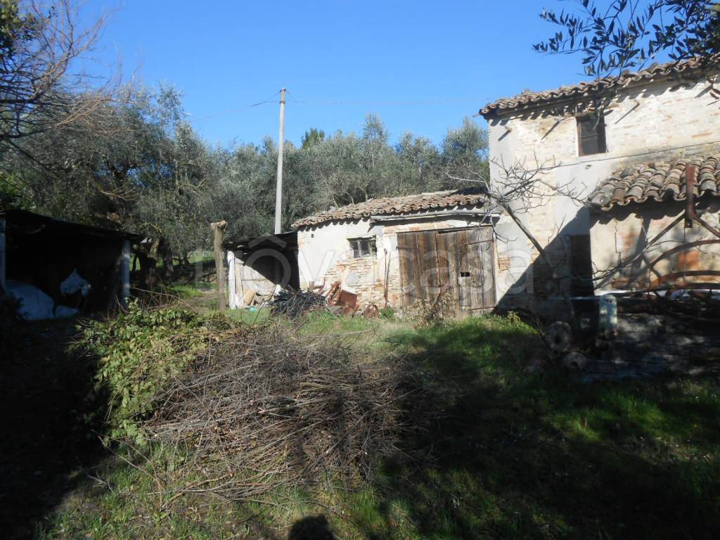 immagine annuncio 7 di 11