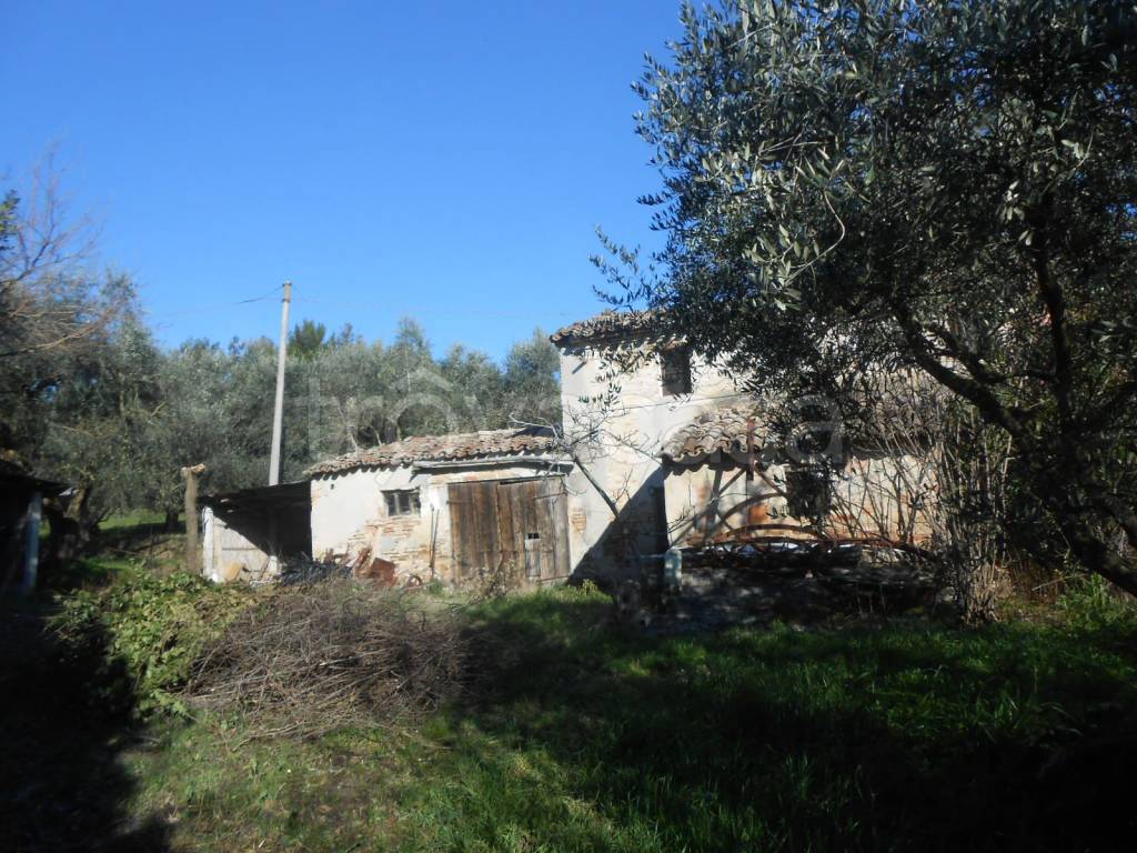 immagine annuncio 9 di 11