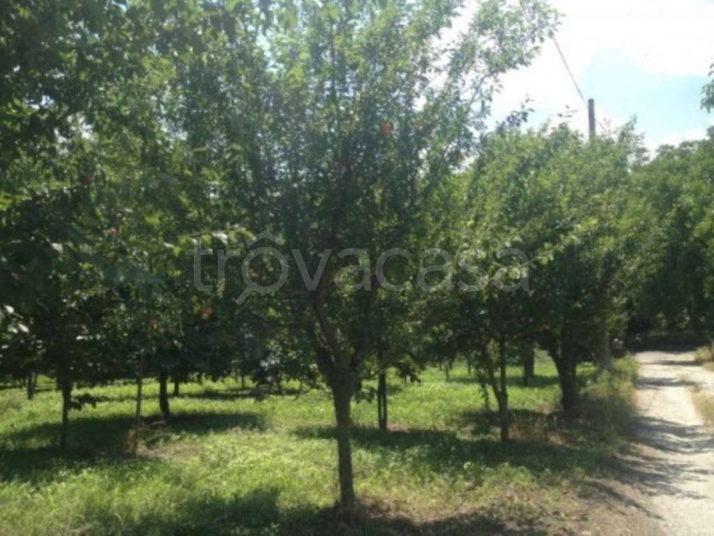 Terreno Agricolo in vendita a Somma Vesuviana via Malatesta