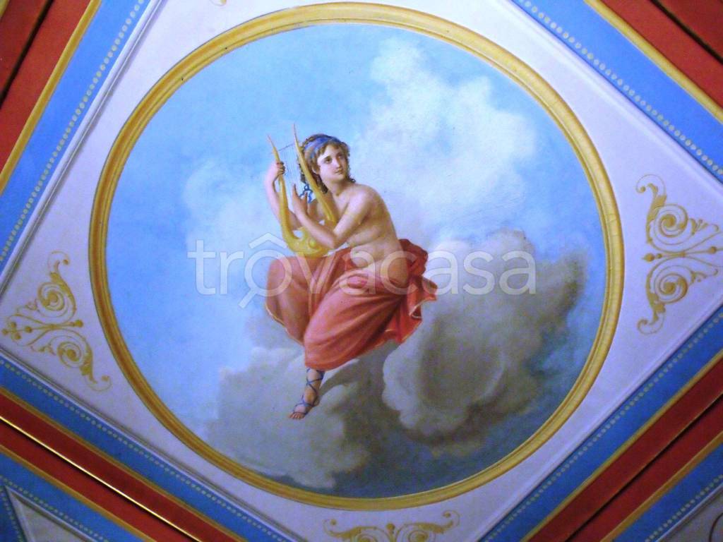 immagine annuncio 3 di 13